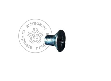 103010608 Screw M6x10