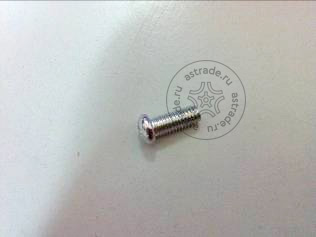 103010432 Screw M5x12