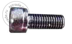 103011102 Screw M10x25