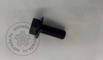 103020215 Screw M10x25