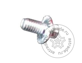 103020190 Screw M6x10