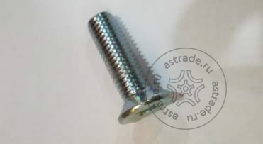 103010463 Screw M12x35