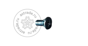 103010539 Screw M8x12