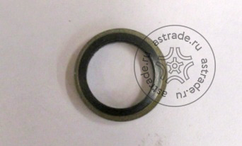 Seal ring 18